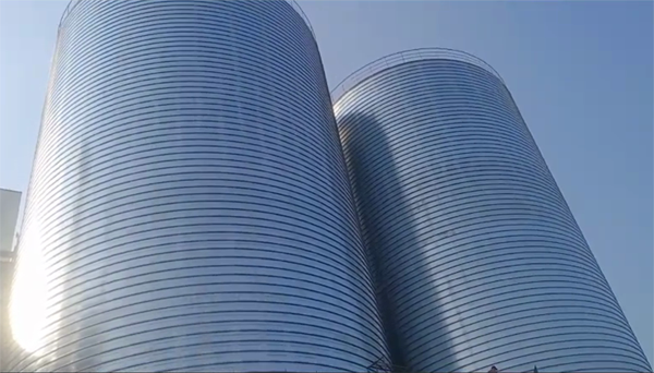 赛罕2座混凝土高架卷板仓